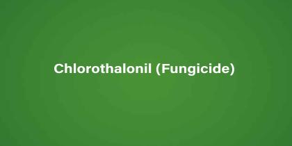 Chlorothalonil (Fungicide)