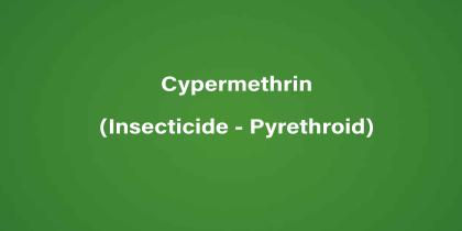 Cypermethrin (Insecticide - Pyrethroid)