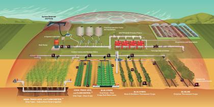 Drip Irrigation System