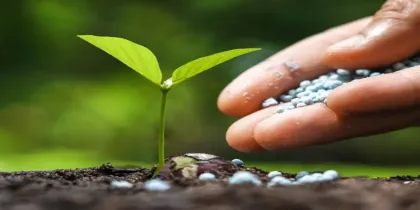 Fertilizer