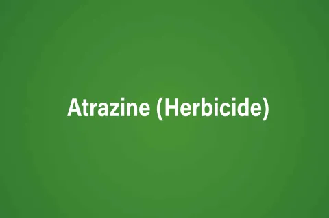 Atrazine (Herbicide)