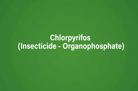 Chlorpyrifos