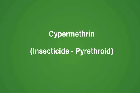 Cypermethrin (Insecticide - Pyrethroid)