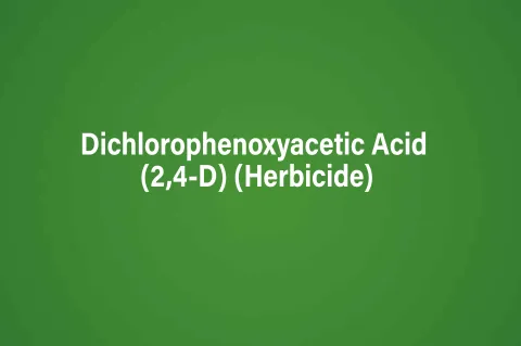 Dichlorophenoxyacetic Acid (2,4-D) (Herbicide)
