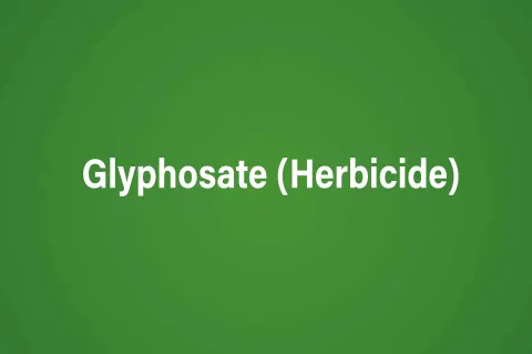 Glyphosate (Herbicide)